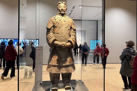 Terracotta tickets with professional guide in English /Italian 