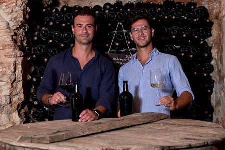 Wine Tasting with Food Pairings in Bari City Center
