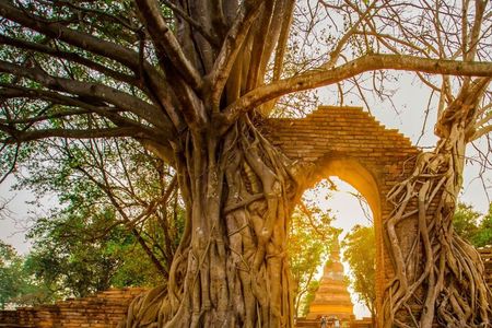 Ayutthaya Private Tour Sunset Boat Ride with Famous Temples