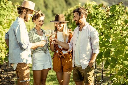 Pompeii Ruins Guided Tour with Entry, Dinner & Wine on Vesuvius