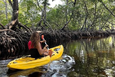 Mida creek mangrove Kayaking adventure in Watamu, Kenya
