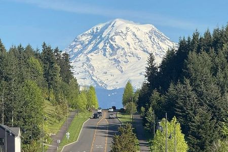 Mount Rainier Photo Tour with Private Sprinter Transport