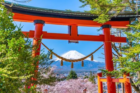 Mt. Fuji Highlight Photo Spots One Day Tour from Tokyo