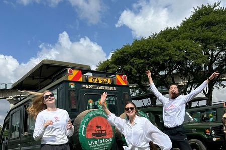 Nairobi National Park, Elephant Orphanage & Giraffe Center tour.