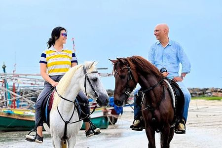 Horse Riding for All Skill Levels at Hua Hin Beach & Forest Trail