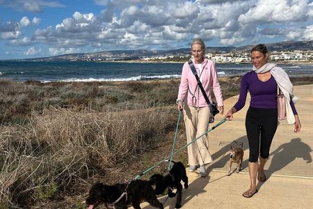 Scenic Beach Walk with Rescue Dogs