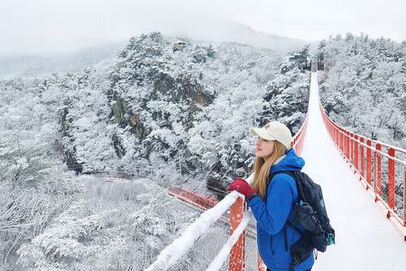 DMZ Tour: 3rd Tunnel, Option(Suspension Bridge, Boat) from Seoul