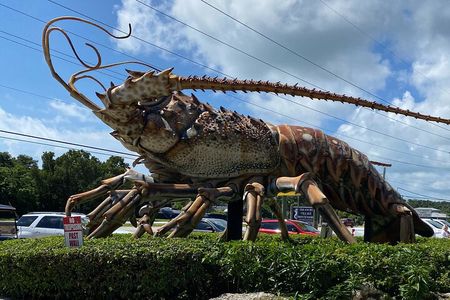 Miami to Key West with Islamorada Hop-Off + 6 Hours in Key West