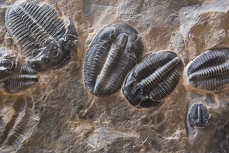 2 hour Quarry Access