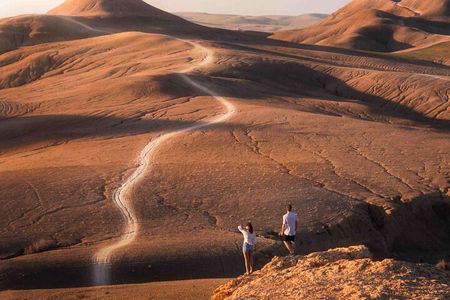 Desert Escape: Buggy Ride, Camel Trek & Dinner Show