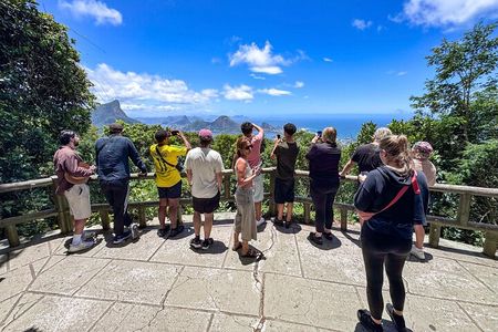 Tijuca Forest: Waterfalls, Cave, and Wildlife