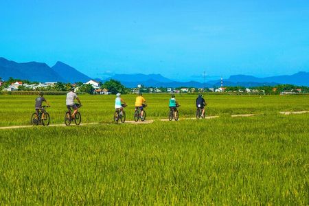 Private Hoi An to My Son Sanctuary Full-Day Bike Tour