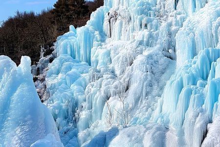 Strawberry & Eobi Valley & Nami Island & Garden of Morning Calm