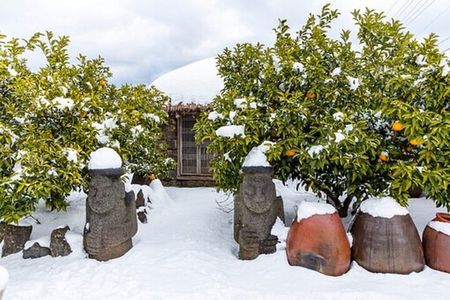 Jeju Eastern UNESCO Sites Day Tour with Haenyeo Show