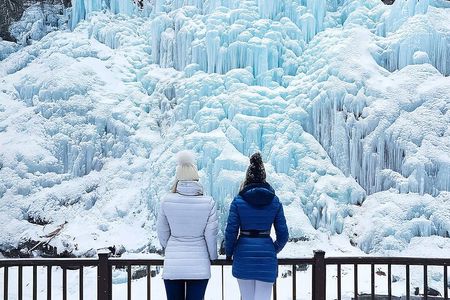Eobi Ice Valley, Nami Island, Morning Calm and Rail Bike Seoul