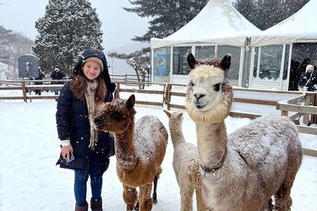 Eobi Ice Valley Nami Island and Alpaca World Tour from Seoul