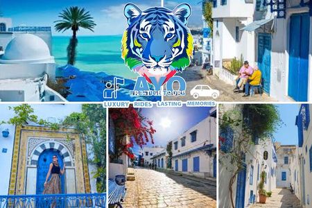 AYO VIP Tour Tunis : Bardo/Medina, Carthage and Sidi Boussaid