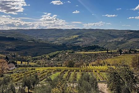 Organic Chianti Classico Wine Tour Tastings with Lunch Included