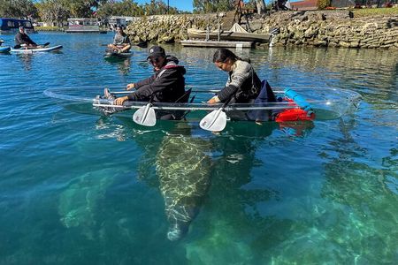 Crystal River Florida: Clear Kayak Guided Manatee Eco-Tour