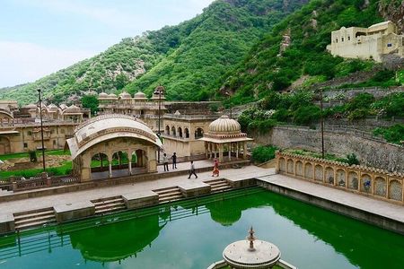 Jaipur Cultural Day Tour Hawa Mahal City Palace and Monkey Temple