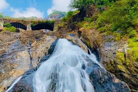 Full Day Join Goa Tour: Dudhsagar Waterfalls & Spice Planatation