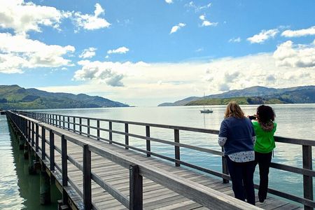 Private 3.5hr Christchurch Scenic Tour. Food, guide, & transport.