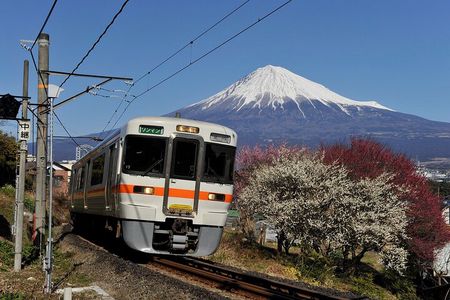Mt Fuji Shizuoka Wasabi Tour with Hokusai Train and Bullet Train