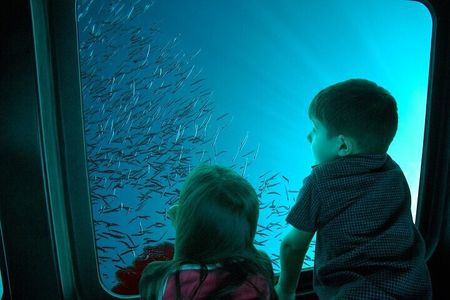 Sharm Submarine Adventure