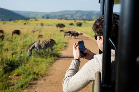 3 Hour Afternoon Safari in Pilanesberg from Sun City