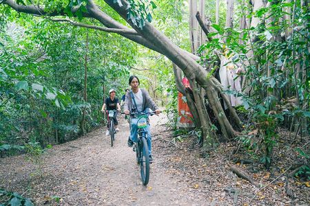 Bangkok Green Oasis Nature Bike Tour