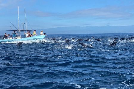 Boat Trip to See Marine Life in Puerto Escondido