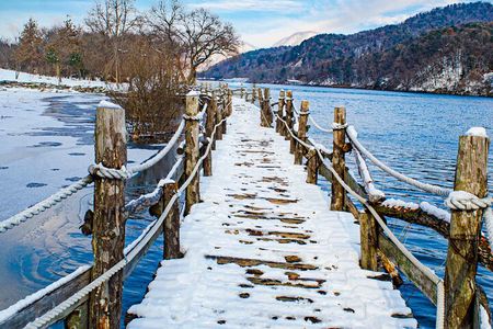 Nami Island Trip with Petite France & Italian Village and Gangchon Rail Bike