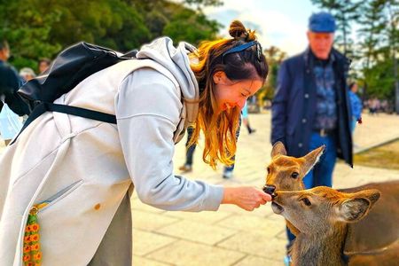 Nara: Hike Mt. Wakakusa and Encounter Wild, Free-Roaming Deer
