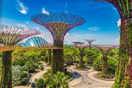 Singapore City Light Tour : Garden by the Bay, Supertree Rhapsody