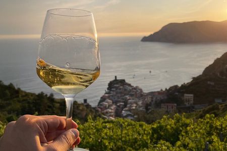 Heroic : Vineyard Trekking & Authentic Wine Tasting in Vernazza