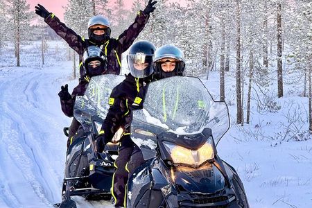 Small Group: Snowmobile Safari from Riverside Lodge 3h