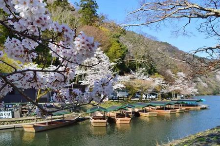 Nara Park and Fushimi Inari Exclusive Day Trip