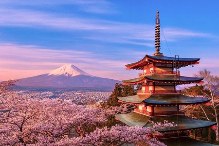 Mount Fuji Adventures Private English Guided Tour With Pick Up