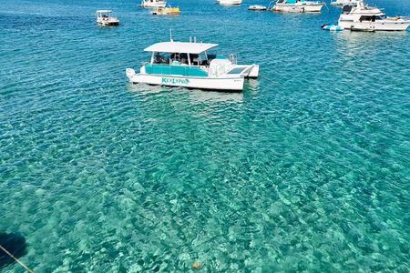 Peanut Island Sandbar and Swim Tour 
