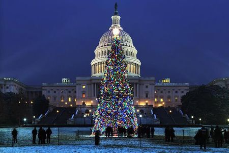Holiday Lights & Nights City Tour with 10+ Stops, Entry Tickets