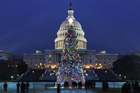 Holiday Lights Night Tour with 10 Stops, Admission Ticket Options