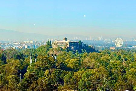 Chapultepec Castle & forest: History, Nature, and Hidden Secrets