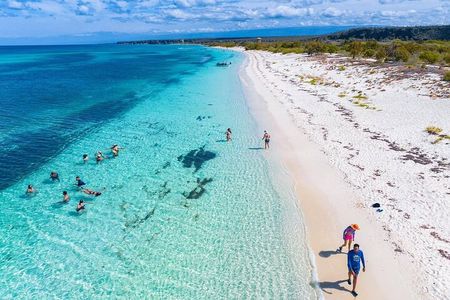 Bay of Eagles VIP : Full Day to Paradise From Santo Domingo