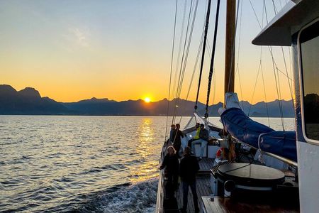 Tromsø Midnight Sun Evening Cruise with Hot Tub and Polar Plunge