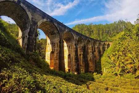 Ella Day Trip from Mirissa, Weligama, Galle, Hikkaduwa