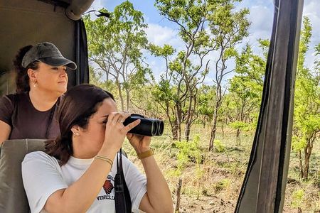 Mikumi Wonderful Safari with Open Jeeps