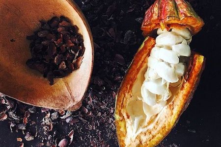 Mayan Chocolate Making & Waterfall Tour from Placencia