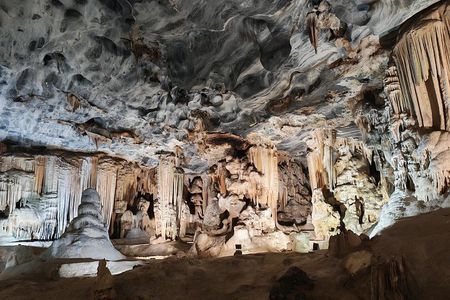 3 Day Ultimate Garden Route Tour From Port Elizabeth to George