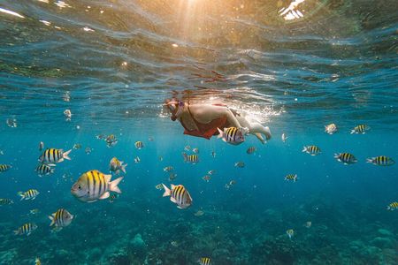 Roatan Private Tour: Snorkeling, Wildlife Sanctuary and Beach