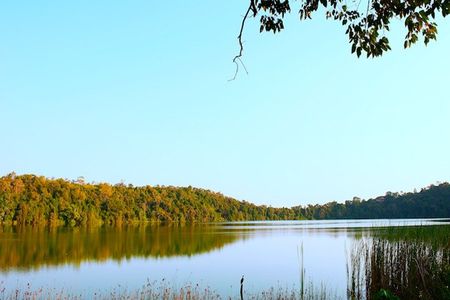 Lake Duluti Walking Safari Nature and Birdlife Experience
